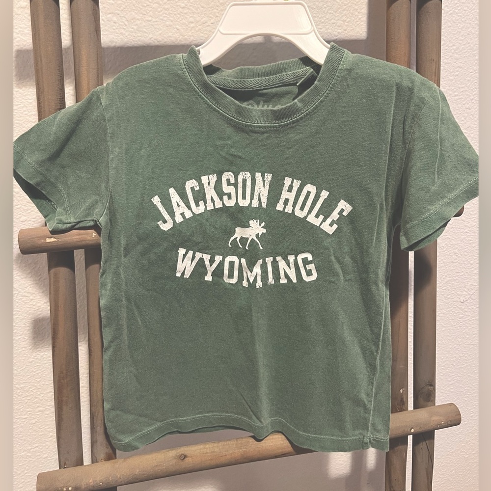 EUC 3T Unisex Jackson Hole Wyoming Green Shirt